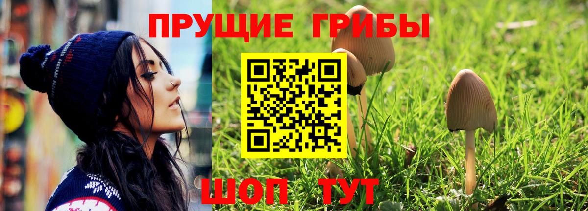 Псилоцибиновые грибы ЛСД Острогожск