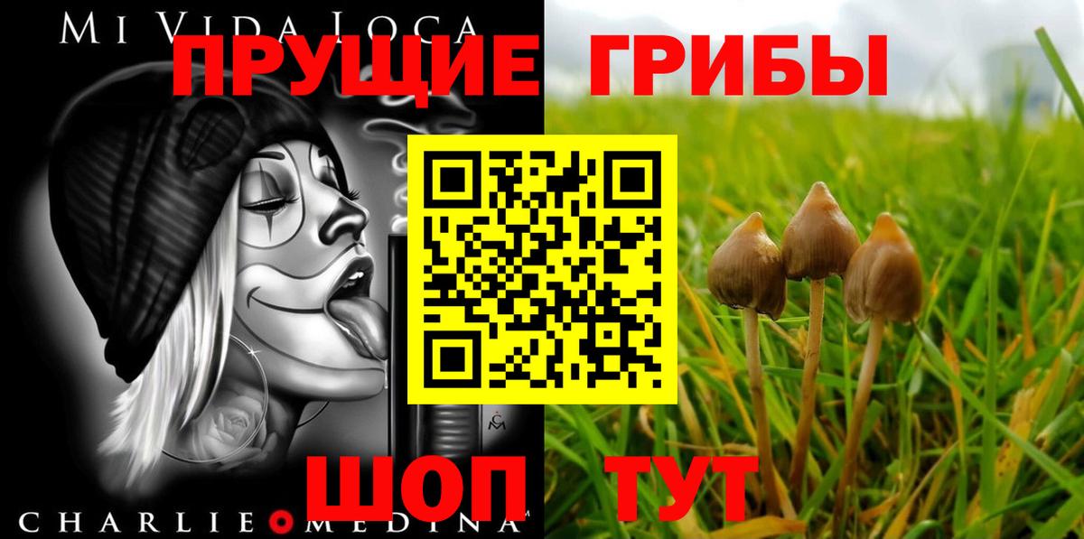 Галлюциногенные грибы Magic Shrooms  магазин    Острогожск  Вход с VPN 