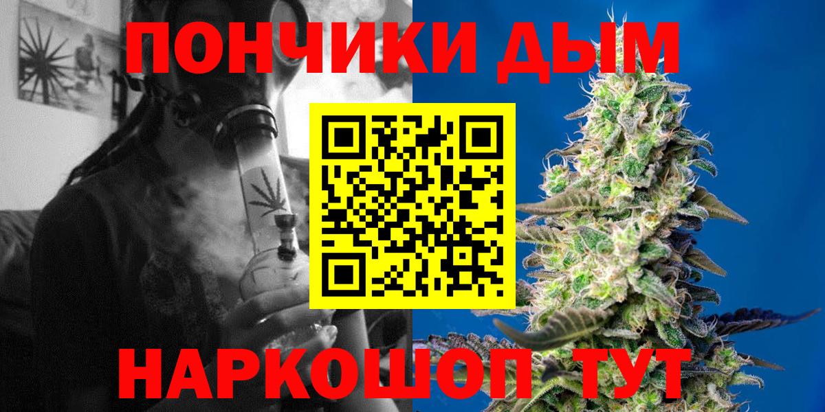 Бошки Шишки планчик Острогожск